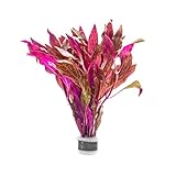 SubstrateSource Live Aquarium Red Stem Plants - Freshwater Aquatic Plant for Fish Tanks, Aquascaping - (Alternanthera Reineckii Rosanervig, 1 Bunch)
