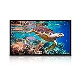 Pyle 120' Projector Screen Matte White Home Theater TV Wall Mounted Fixed Flat w/ 16:9 Aspect Ratio Full HD Projection - Easy Mount Ideal for Office Presentation PRJTPFL122 Black