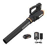WORX 20V Cordless Leaf Blower WG547, Electric Blower, Powerful Turbine Fan Technology, 2-Speed Control, for One-Hand Operation, PowerShare – 1pc 2.0 Ah Battery and 1pc 0.4 A Charger Included