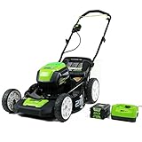 Greenworks 80V 21' Brushless Cordless (Push) Lawn Mower (75+ Compatible Tools), 4.0Ah Battery and 60 Minute Rapid Charger Included