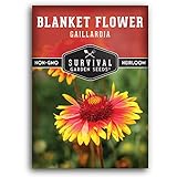 Survival Garden Seeds - Blanket Flower Seed for Planting - Packet with Instructions to Plant and Grow Gaillardia Pulchella in Your Home Vegetable Garden - Non-GMO Heirloom Variety