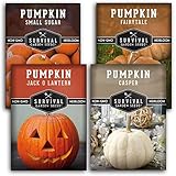 Survival Garden Seeds Pumpkin Collection Seed Vault - Non-GMO Heirloom Seeds for Planting Vegetables - Casper, Fairy Tale, Jack O'Lantern, Small Sugar Pumpkins for Growing in Your Vegetable Garden