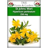 St. John's Wort Seeds for Planting - 250 mg, 2000 Heirloom Non-GMO Seeds, Veteran-Owned, Includes Instructions for Growing, Hypericum perforatum, Perennial/Medicinal Herb - TKE Farms & Gardens