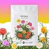Moss Rose - Portulaca Grandiflora - 5,000+ Seeds - Mixed Colors, Heirloom, Non-GMO, Excellent for Pollinators, Annual - Vibrant Flowers with Heat & Drought Tolerance for Any Home Garden