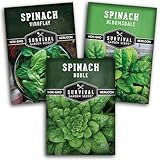 Spinach Seed Collection - 3 Packets of Seeds to Grow - Viroflay, Noble, Bloomsdale Spinach Varieties - Non-GMO Heirloom Open-Pollinated Seeds to Plant - Seed Saver Instructions - Survival Garden Seeds
