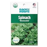 Seed Packet - Spinach