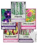 Gardeners Basics, Hummingbird Seeds for Planting Outdoors Flower Seeds (5 Variety Pack) Zinnia, Foxglove, Lupine, Morning Glory, Snapdragons Varieties for Bees, Pollinators Wildflower Seed