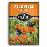 Butterfly Milkweed Seeds for Planting - Pack with Instructions to Grow Asclepias Tuberosa - Attract Butterflies & Help Conservation - Non-GMO Heirloom Open-Pollinated - Survival Garden Seeds