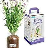 Back to the Roots Windowsill Planter: Lavender