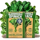 HOME GROWN Bloomsdale Spinach Seeds - 2 Bulk Packs (Spinacia oleracea) – 704 High Germination Non-GMO Heirloom Spinach Seeds for Planting – Leafy Green Lettuce Seeds for Home Gardens