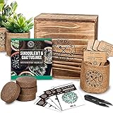 Cactus Succulent Seed Starter Kit - Indoor Garden Grow Kits, Seeds for Planting Mini Cactus Succulent Plants, Plant Markers, Soil, Pots, Wood Box - Fathers Day Gardening Gifts