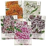 Seed Needs, Milkweed Seed Packet Collection to Attract Monarch Butterflies (5 Individual Seed Varieties to Plant) Heirloom & Untreated Seeds