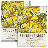 Seed Needs, St. Johns Wort Seeds - 500 Heirloom Seeds for Planting Hypericum perforatum - Medicinal Herb to Grow Outdoors, Non-GMO & Untreated (2 Packs)
