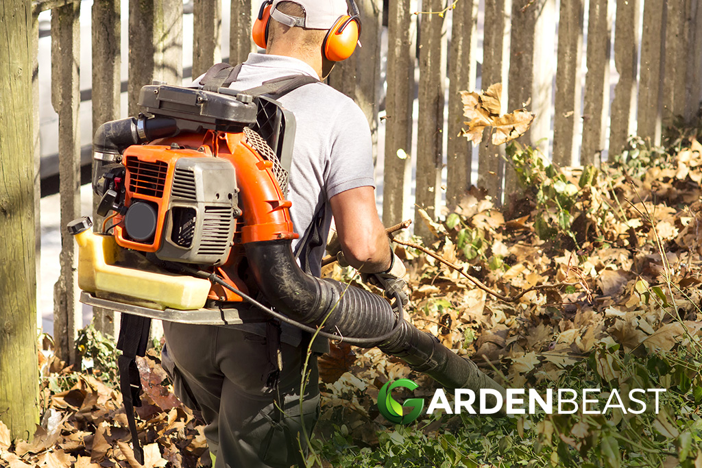 Backpack Leaf Blower Reviews