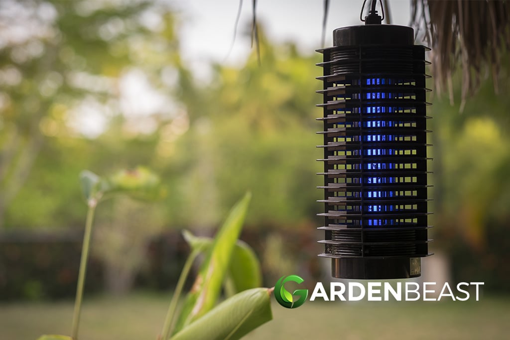 Best Bug Zapper
