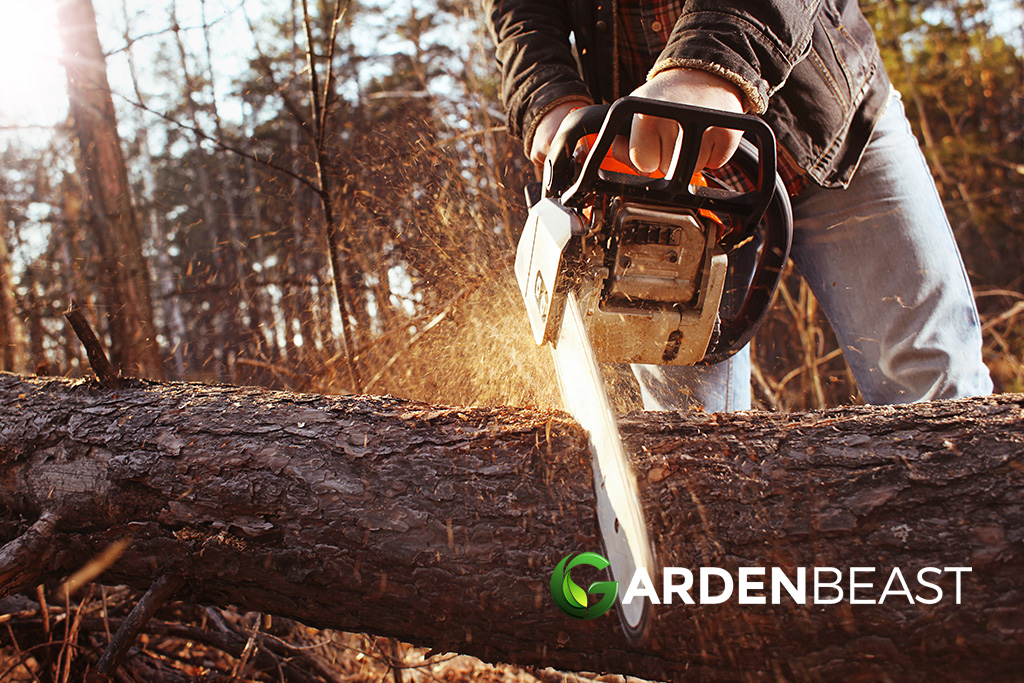 Best Echo Chainsaws