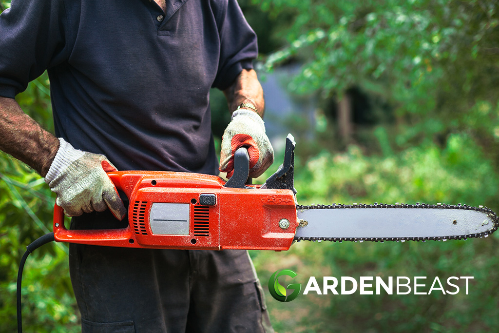 Best Electric Chainsaws