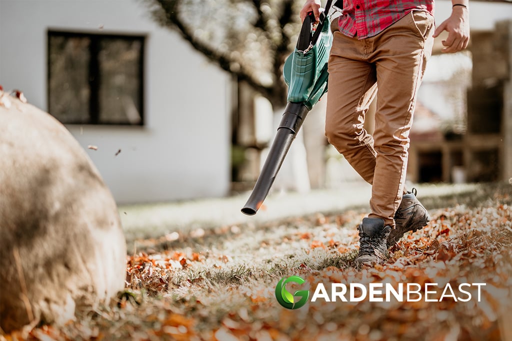 Best Leaf Blower