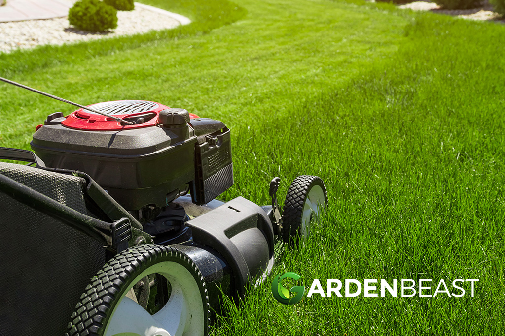 Best Push Mower