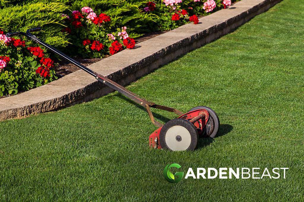 Best Reel Mower