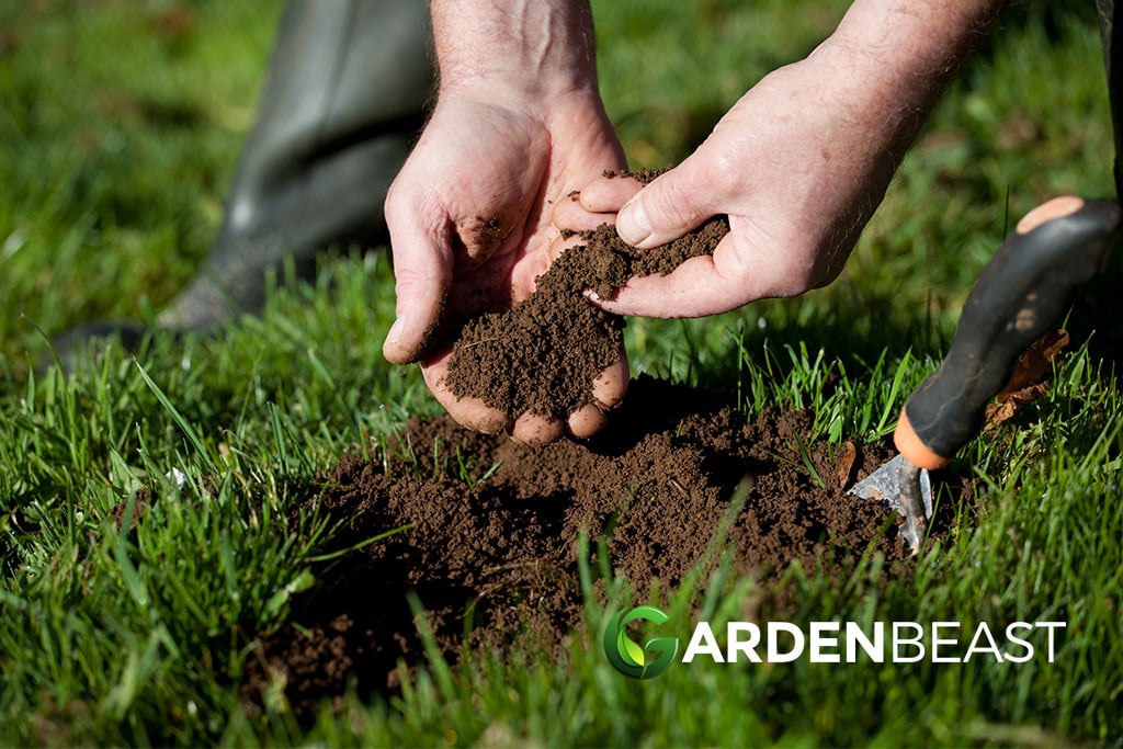 Best Soil Test Kits