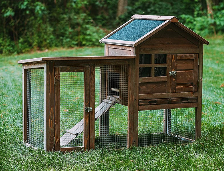 Chicken Coop