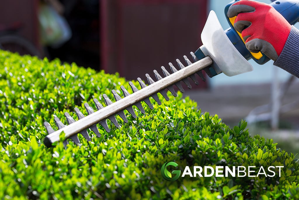 Best Cordless Hedge Trimmer