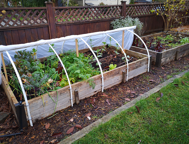 Covering Up Delicate Plants For The Colder Seasons Ahead
