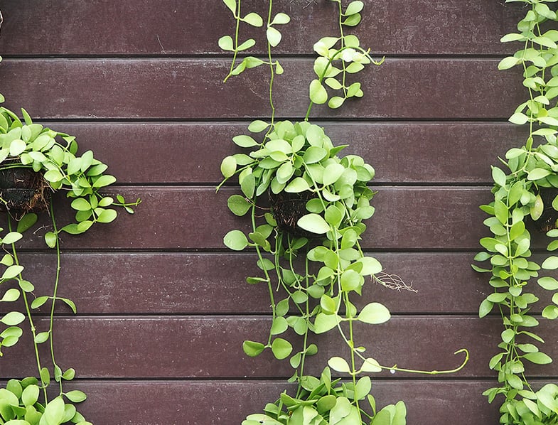 String of Nickels
