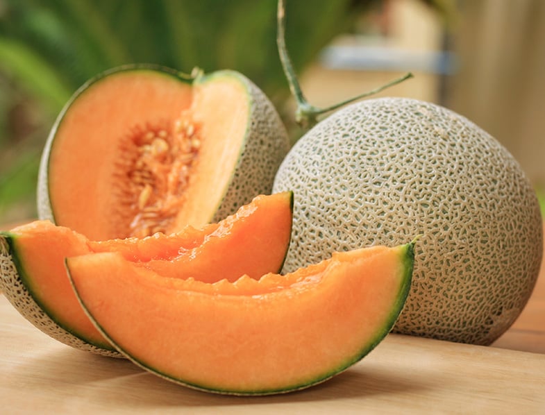 Cantaloupe