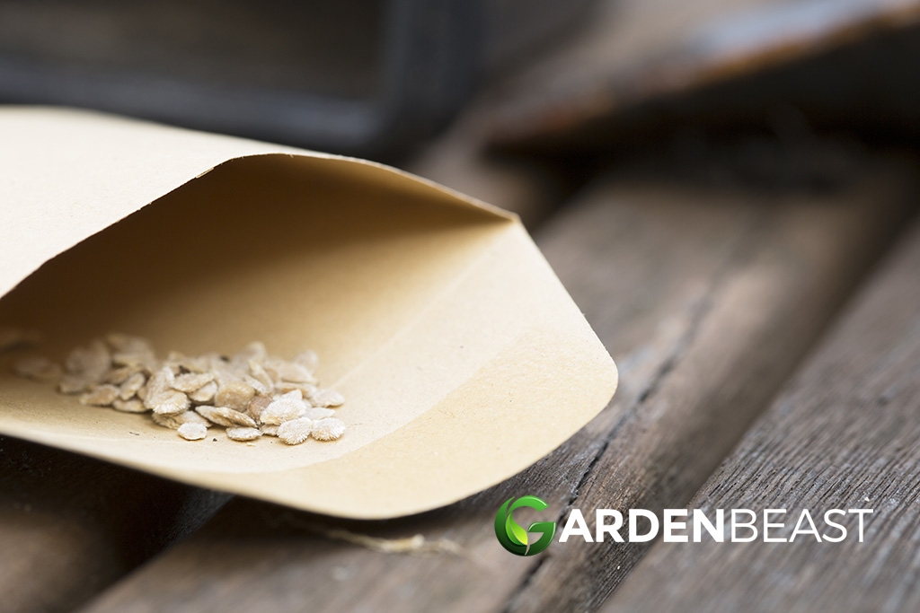 How to Store Seeds