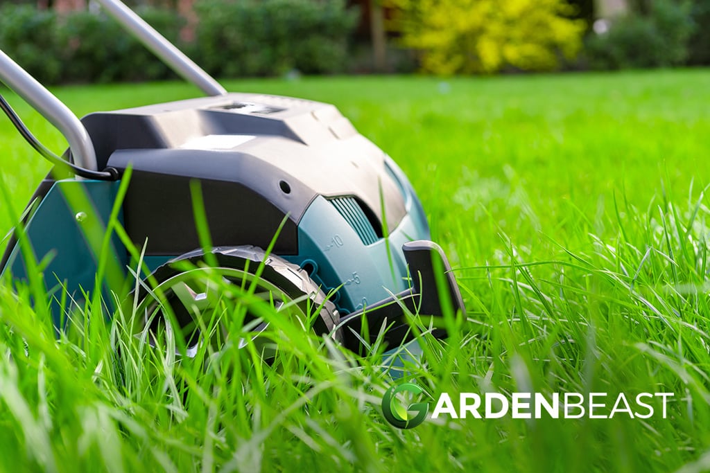 Best Lawn Aerators