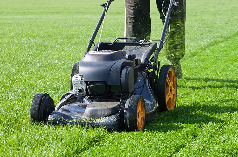 Types of Lawn Mowers