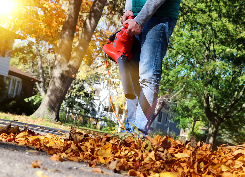 Leaf blower in action