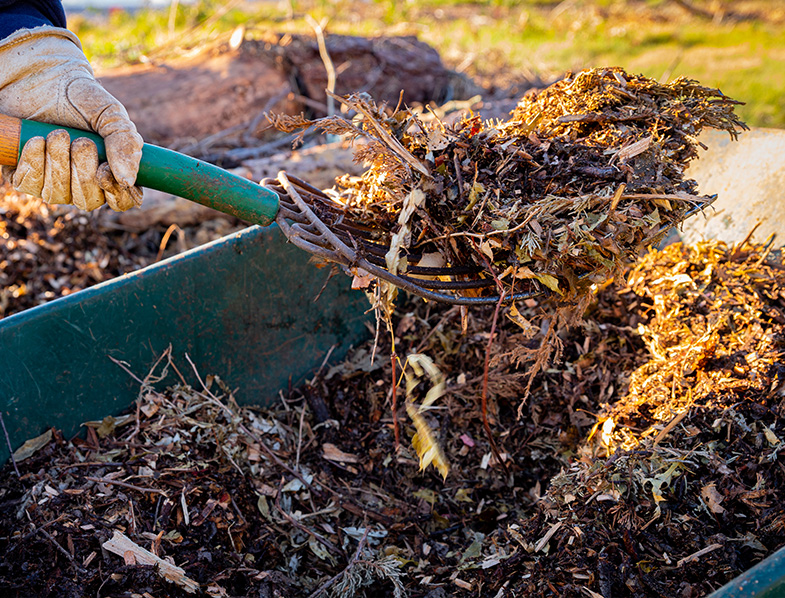 Leaf Mulch