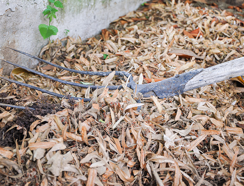 Leaf Mulch