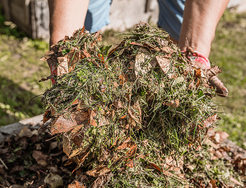 Leaf Mulch