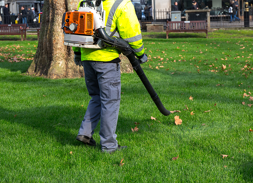 Backpack Leaf Blower in action