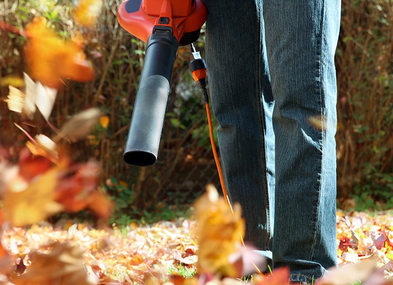 Tidy up your yard with a leaf blower