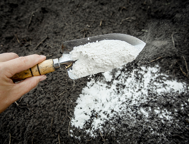 Limestone Powder