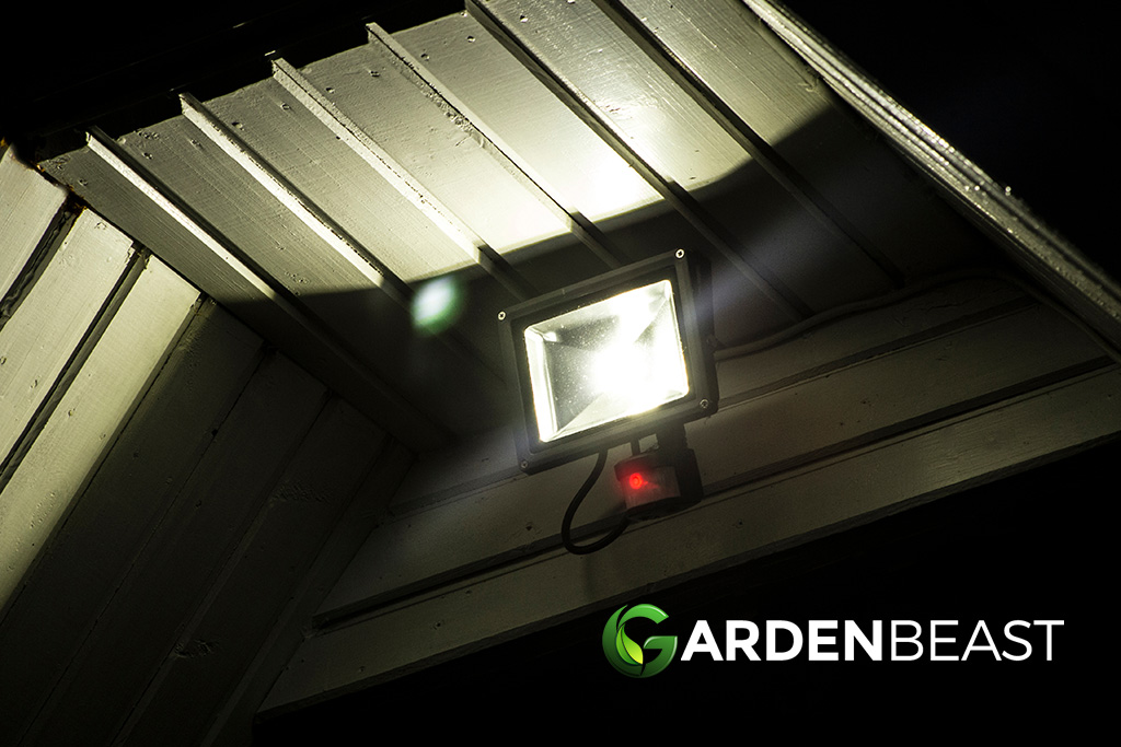 Best Outdoor Motion Sensor Lights