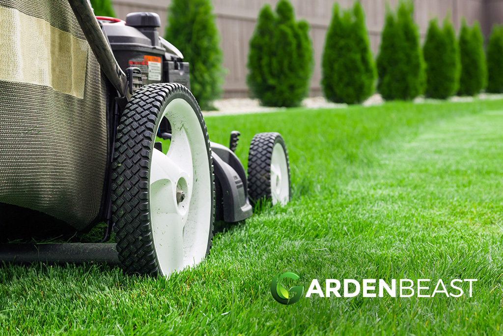How to Mow Your Lawn