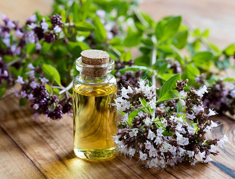 Oregano essential oil