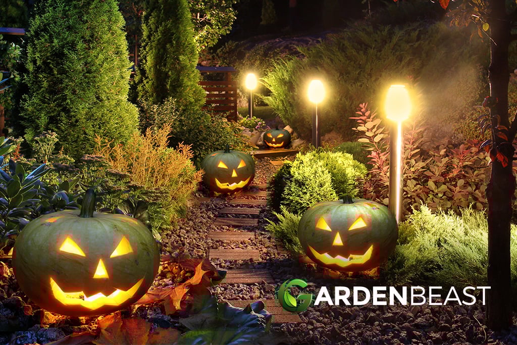Outdoor Halloween Decorations