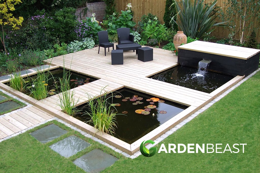 Best Pond Plants for Backyards: Our Top Picks & Growing Tips