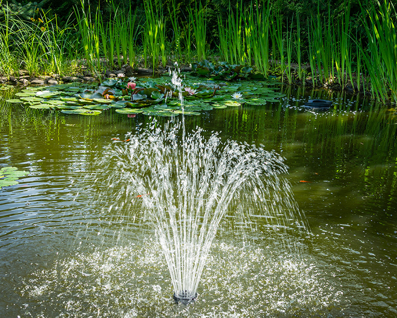 Pond Pump