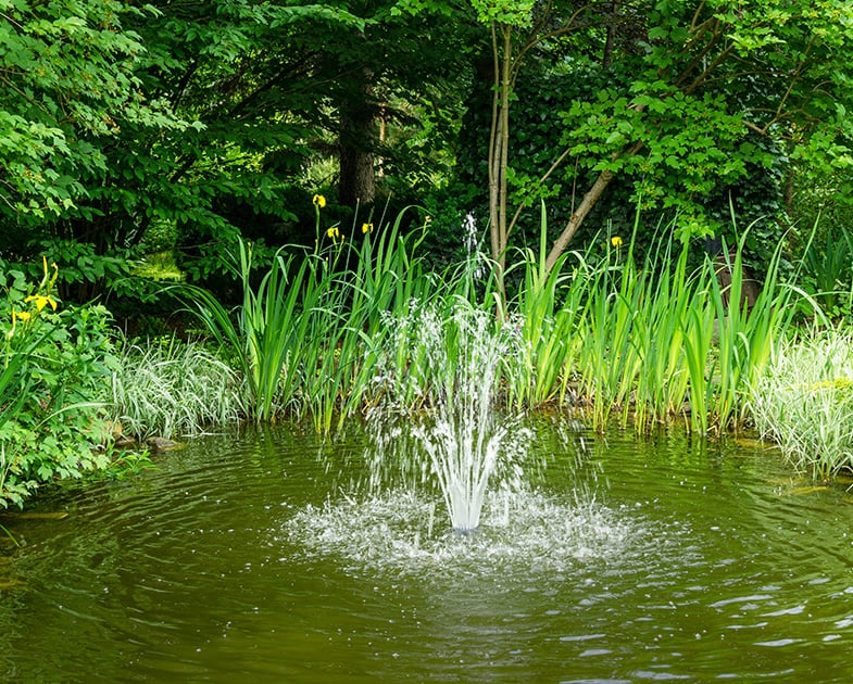 Pond Pump