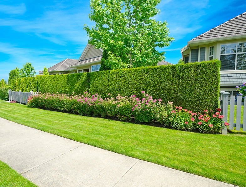 A Privacy Hedge
