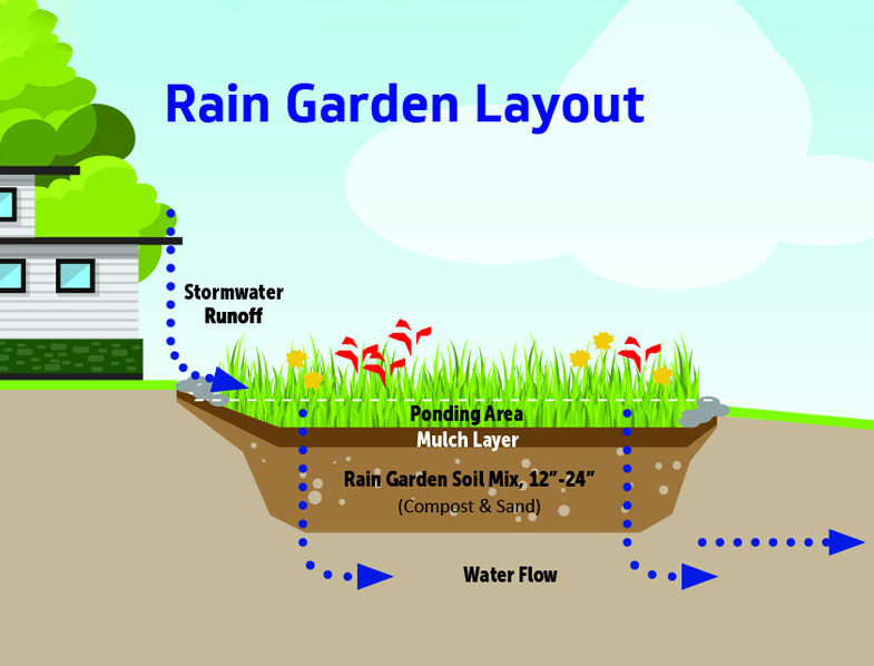 Rain Garden Layout