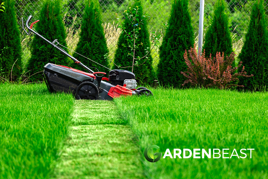 Best Self Propelled Lawn Mower